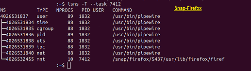 Snap_FF_Ubuntu3