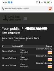 31 DNSleaktest