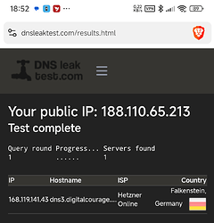 05 dnsleaktest