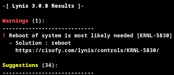 Lynis Warnings